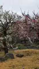 湯島天満宮(東京都)