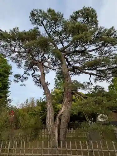 滑河山龍正院(千葉県)