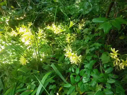 宝戒寺の自然