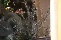 高司神社〜むすびの神の鎮まる社〜の手水舎