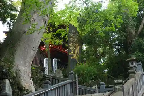 成田山新勝寺の自然