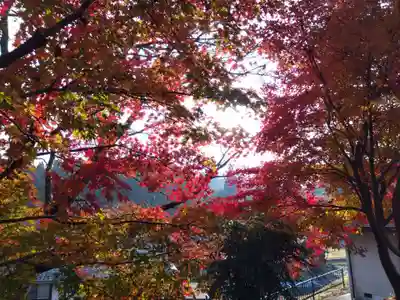 與志漏神社(滋賀県)
