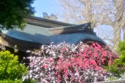 鳩ヶ谷氷川神社(埼玉県)