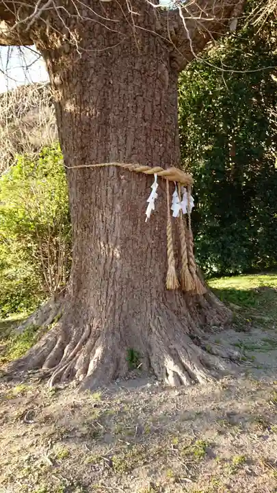 八雲神社の自然