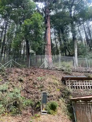 武田八幡宮(山梨県)