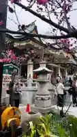 難波八阪神社の{uncategorized: "未分類", other: "その他", undefined: "問題あり", building: "その他建物", grave: "お墓", sacred_gate: "鳥居", guardian: "狛犬", statue: "像", buddha: "仏像", history: "歴史", nature: "自然", garden: "庭園", animal: "動物", pagoda: "塔", temizu: "手水舎", mountain_gate: "山門・神門", sanctuary: "本殿・本堂", subordinate: "末社・摂社", art: "芸術", scenery: "景色", jizo: "地蔵", ema: "絵馬", goshuin: "御朱印", omikuji: "おみくじ", items: "授与品その他", amulet: "お守り", goshuincho: "御朱印帳", eats: "食事", festival: "お祭り", votive_dance: "神楽", shichigosan: "七五三参", wedding: "結婚式", experience: "体験その他", initially: "初詣", around: "周辺", anti_infection: "感染症対策"}
