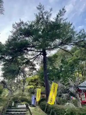 不動寺(埼玉県)