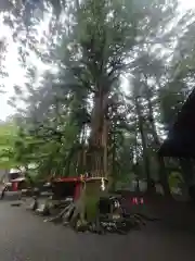 北口本宮冨士浅間神社(山梨県)