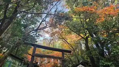 野宮神社(京都府)