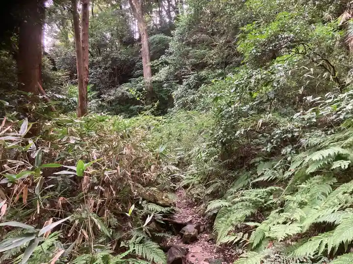 東勝寺跡の自然