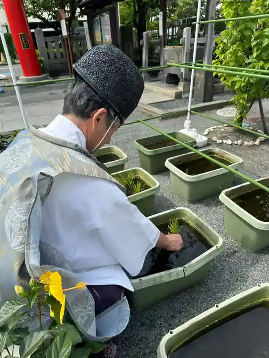亀戸浅間神社(東京都)