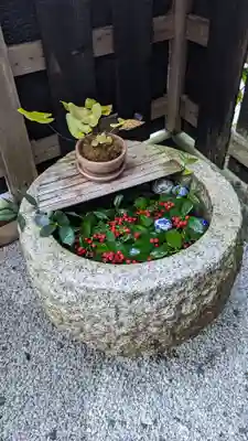 正寿院(京都府)