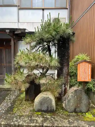 宗鏡寺(兵庫県)