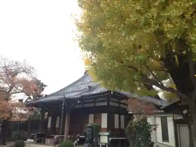 存明寺の本殿・本堂