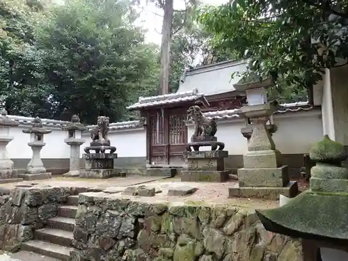 大歳神社の狛犬