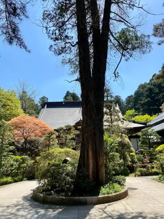 瑞鳳寺(宮城県)