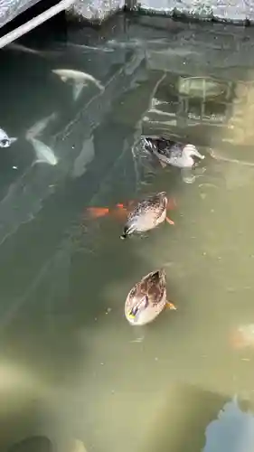 鑁阿寺(栃木県)