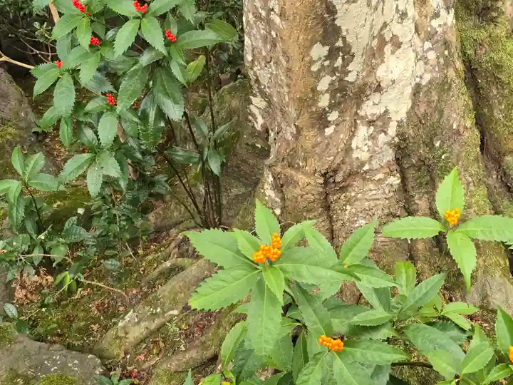 安楽寺(京都府)