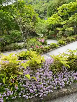 勝尾寺(大阪府)