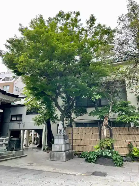 鳥越神社(東京都)