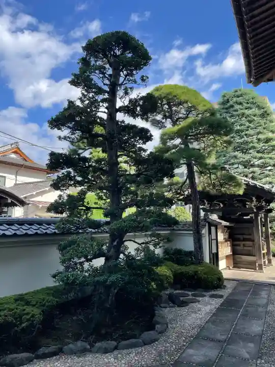 霊泉院(東京都)