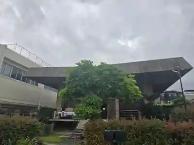 光源寺(大阪府)