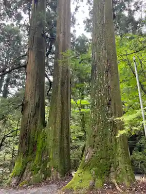 花園神社(茨城県)
