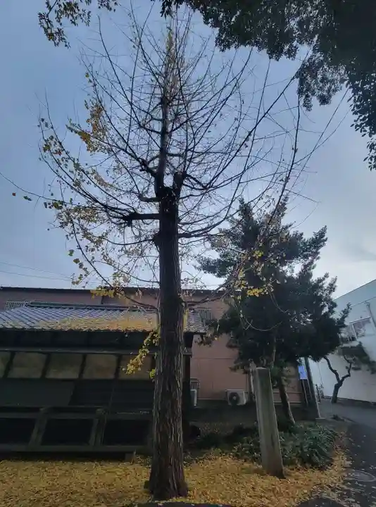 日招八幡大神社(愛媛県)