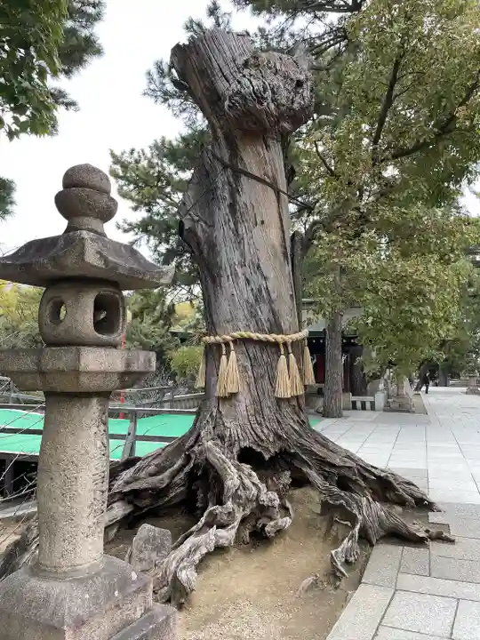 住吉大社(大阪府)