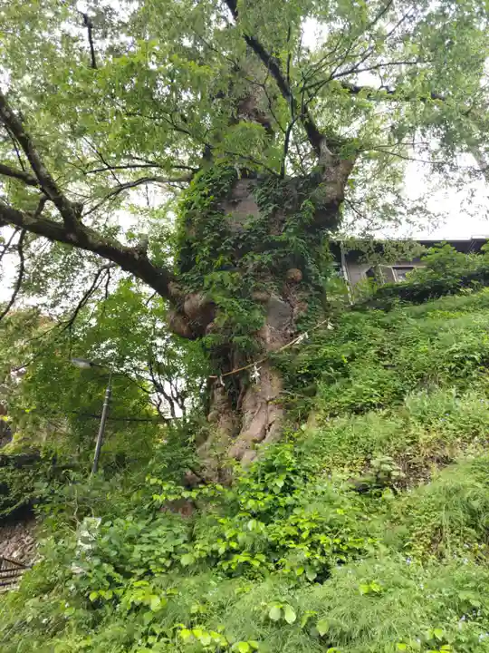 武蔵御嶽神社(東京都)
