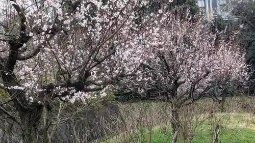  智積院(京都府)