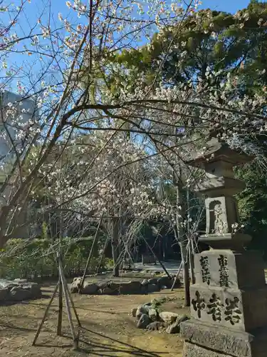 赤坂氷川神社(東京都)