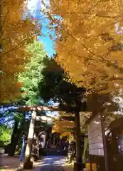 青山熊野神社(東京都)