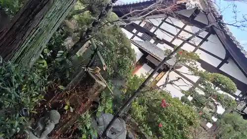 霊源院(京都府)