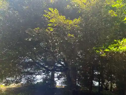 宿那彦神像石神社(石川県)