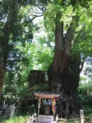 來宮神社のその他建物