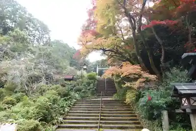 日向大神宮(京都府)