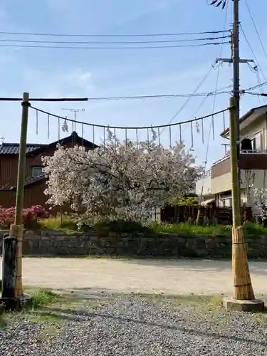 闘鶏神社(和歌山県)