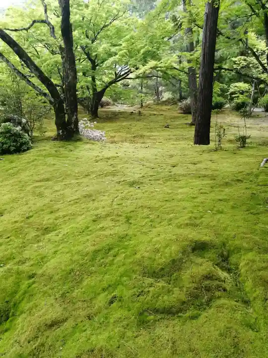 宝厳院(京都府)