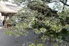 平野神社の建物その他