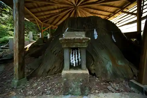 賀蘇山神社の自然