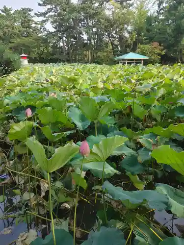 白山神社の庭園