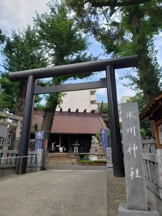 高円寺氷川神社の鳥居