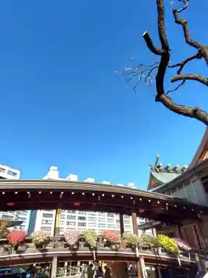 湯島天満宮(東京都)