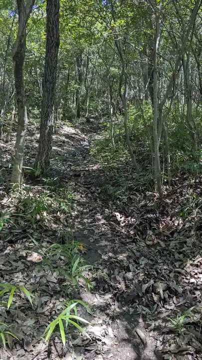 國分八幡宮(香川県)