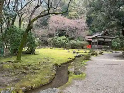 賀茂別雷神社（上賀茂神社）(京都府)