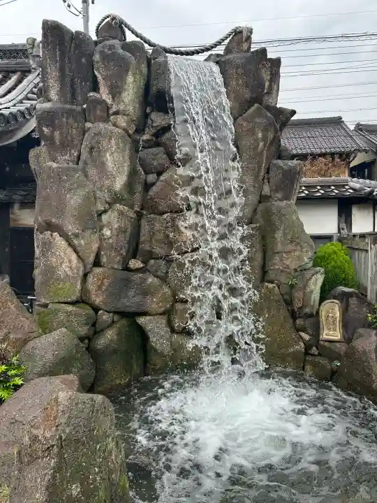 四季桜の寺 妙乗院(愛知県)