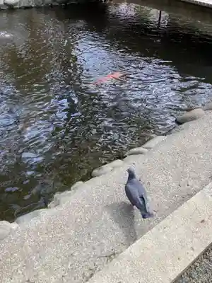 平塚八幡宮(神奈川県)