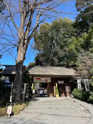 阿佐ヶ谷神明宮(東京都)