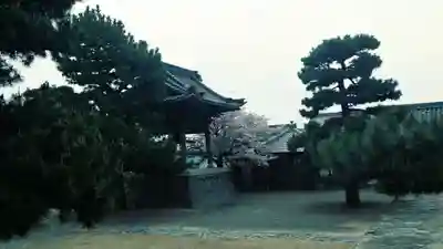 真如寺(愛知県)